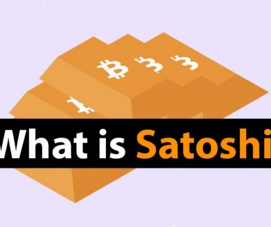 What is a Satoshi - COVER