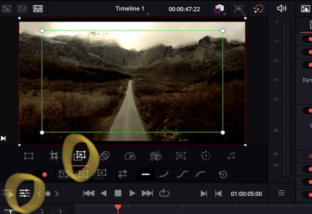 Step 2: Go to Dynamic Zoom Icon in Viewer