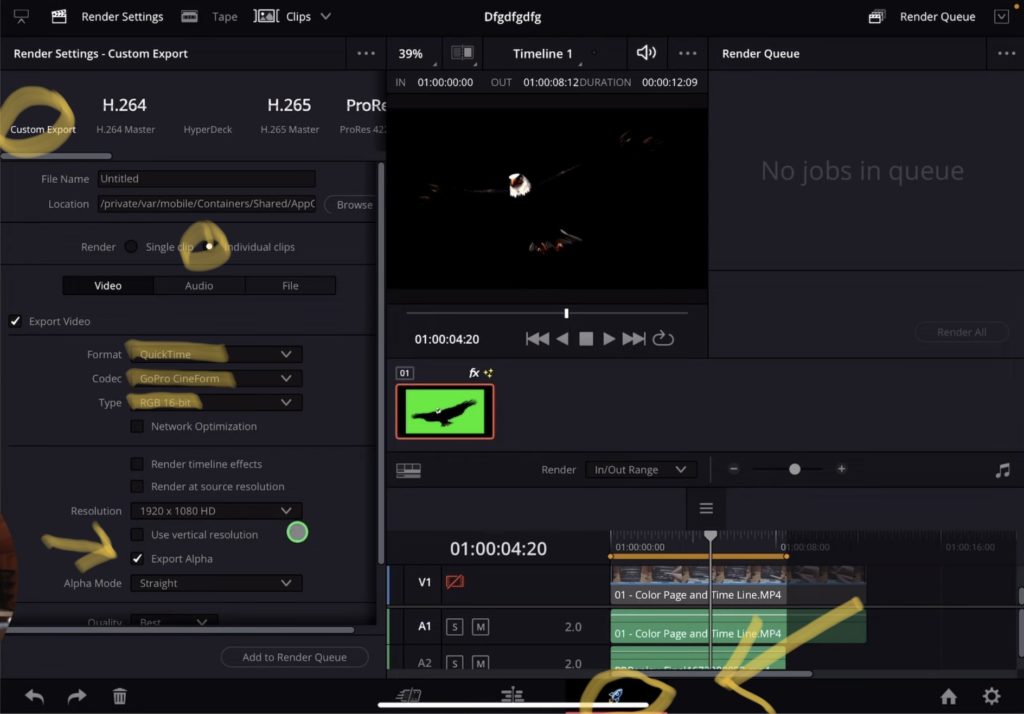 Custom Deliver Settings for Transparent Background in DaVinci Resolve iPad