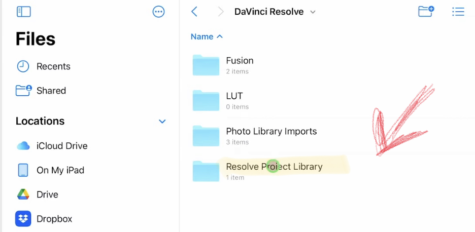 DaVinci Resolve iPad Local Project Library