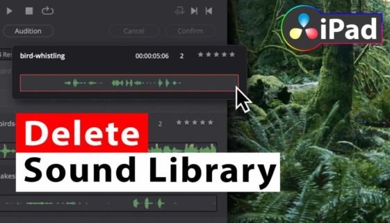 How To DELETE Sound Library from DaVinci Resolve iPad
