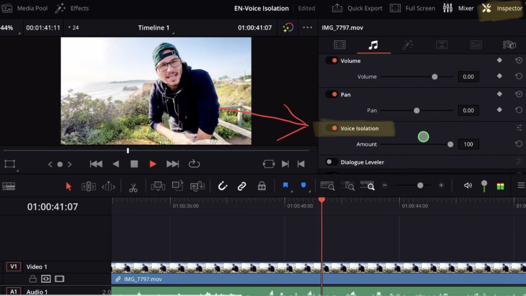 Voice Isolation in DaVinci Resolve iPad