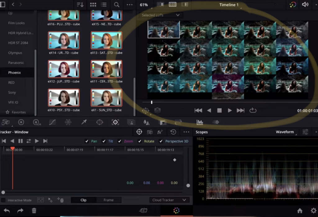 This is how you see all your LUTs even before applying to the clip.