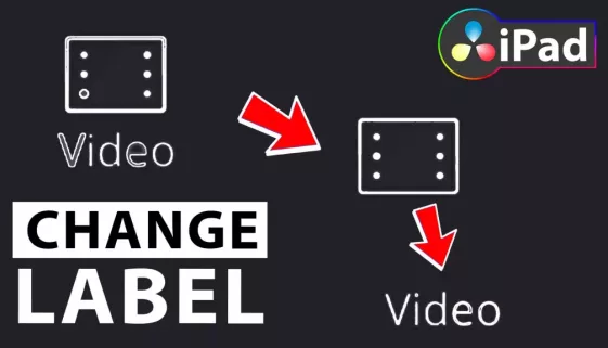 How To Change LABELS in DaVinci Resolve iPad
