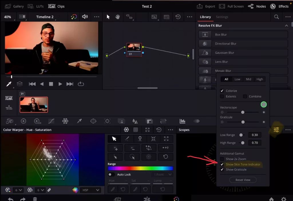 Activate the Show Skin Tone Indicator