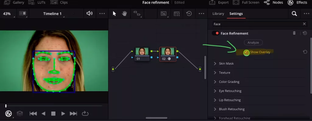 After the Analyze process is done you will see some outline dots on your face. You can turn this off with the Check Box “Show Overlay”.