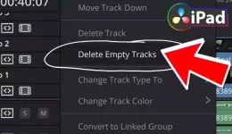 How To Delete Empty Tracks (DaVinci Resolve iPad)