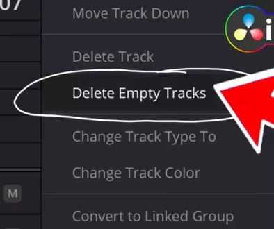 How To Delete Empty Tracks (DaVinci Resolve iPad)