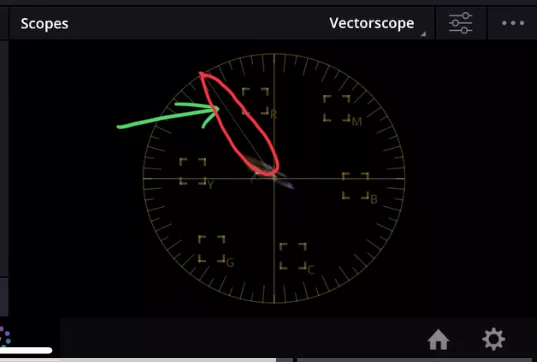 The line you see in the Vectorscope is the skintone indicator.