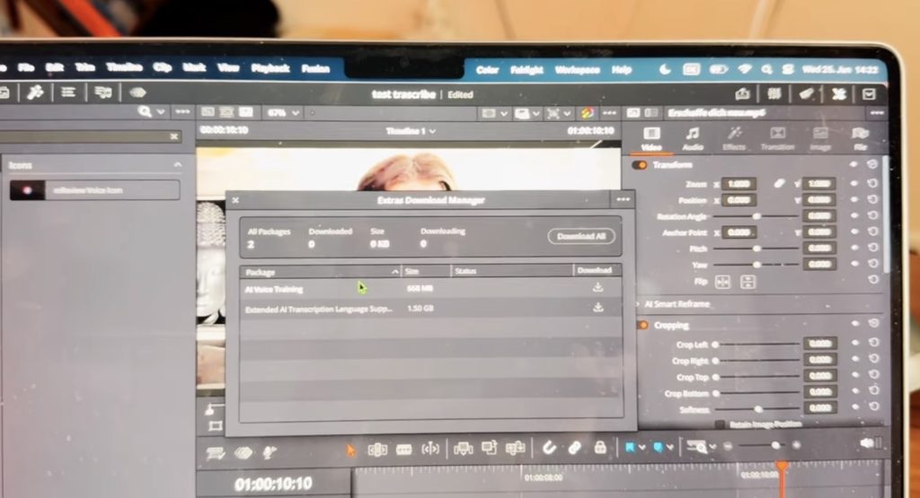 On the Desktop Version of DaVinci Resolve there are currently two additional Packs to download via the Extras Download Manager. "AI Voice Training" and "Extended AI Transcription Language Support".