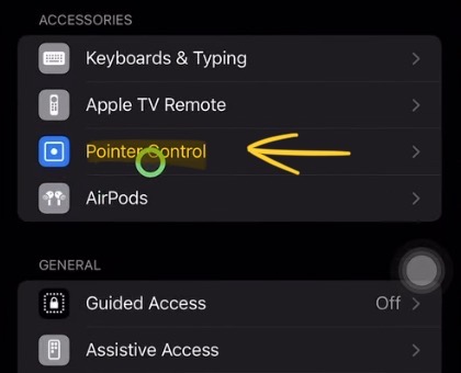 Step 2: Scroll down and you will find a new Option called “Pointer Control”. (Only available as long as AssistiveTouch is activated)