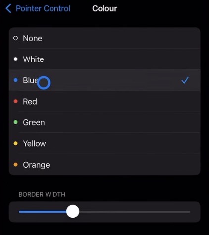 Step 4: You can choose from these default colours or even use no colour (None), which will give you a grey pointer.