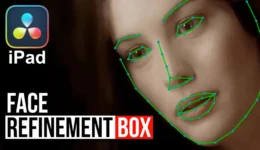 DaVinci Resolve iPad: Face Refinement Box, Profile & Smooth Skin Options Explained