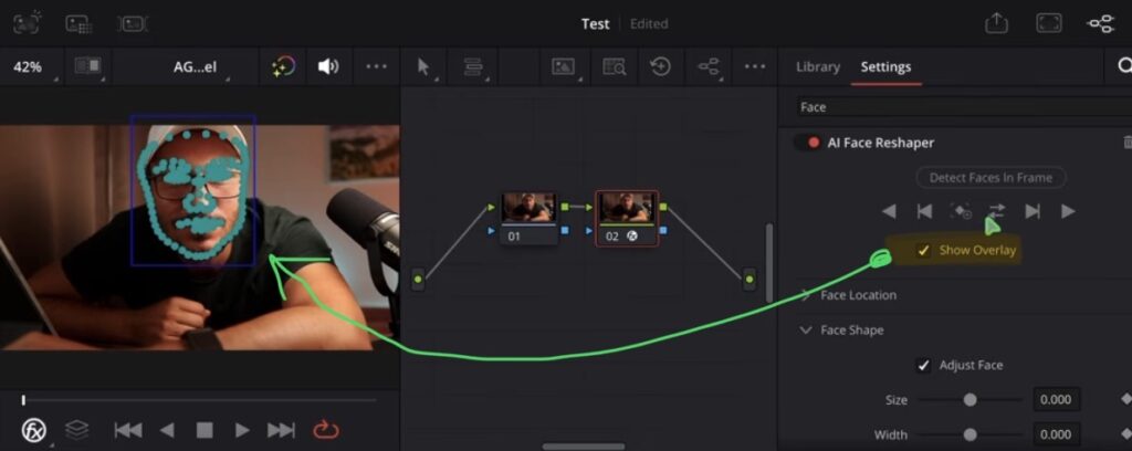 You can turn off "Show Overlay" so you don't see the overlay face points in the viewer.