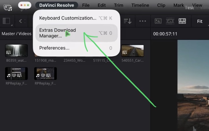 Open the DaVinci Resolve menu and go to Extras Download Manager. 